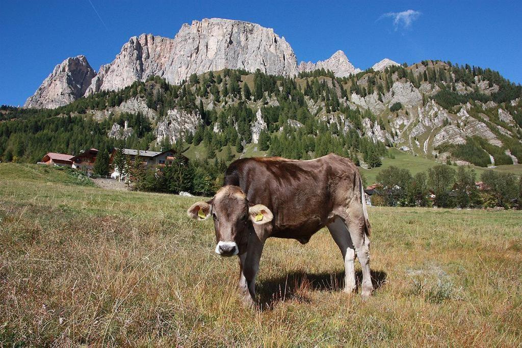 Pensione Sellablick Kolfuschg Exterior foto